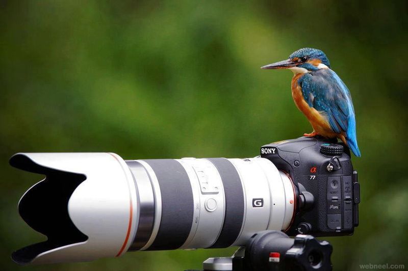 Где найти и как искать курсы обучения фотографов